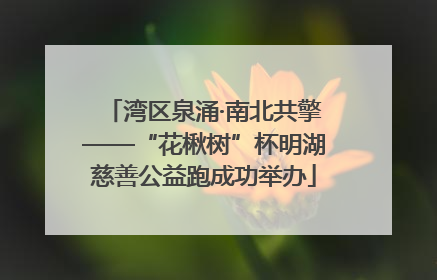 湾区泉涌·南北共擎——“花楸树”杯明湖慈善公益跑成功举办