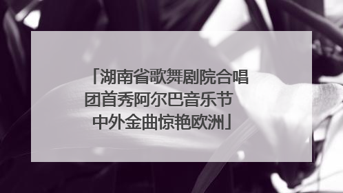湖南省歌舞剧院合唱团首秀阿尔巴音乐节 中外金曲惊艳欧洲