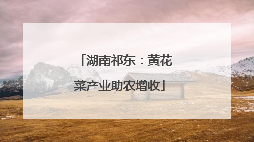 湖南祁东：黄花菜产业助农增收