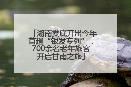 湖南娄底开出今年首趟“银发专列”，700余名老年旅客开启甘南之旅
