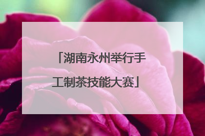 湖南永州举行手工制茶技能大赛