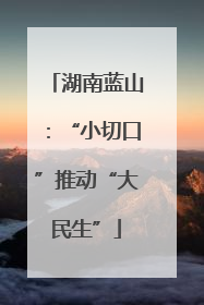 湖南蓝山：“小切口”推动“大民生”