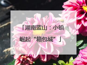 湖南蓝山：小镇崛起“箱包城”