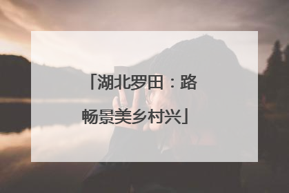 湖北罗田：路畅景美乡村兴