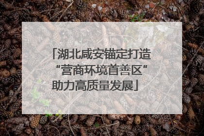 湖北咸安锚定打造“营商环境首善区”助力高质量发展