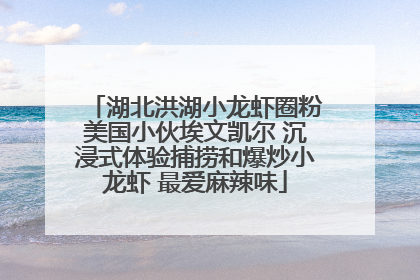 湖北洪湖小龙虾圈粉美国小伙埃文凯尔 沉浸式体验捕捞和爆炒小龙虾 最爱麻辣味