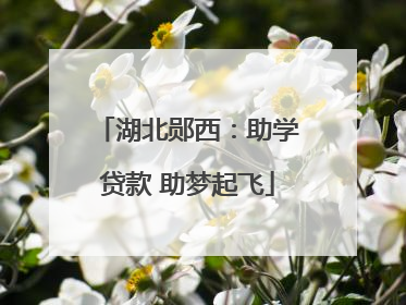 湖北郧西：助学贷款 助梦起飞