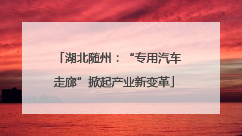湖北随州：“专用汽车走廊”掀起产业新变革