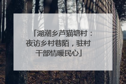 湖潮乡芦猫塘村：夜访乡村巷陌，驻村干部情暖民心