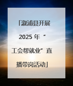 溆浦县开展 2025 年“工会帮就业”直播带岗活动