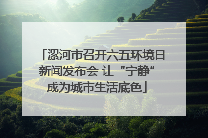 漯河市召开六五环境日新闻发布会 让“宁静”成为城市生活底色