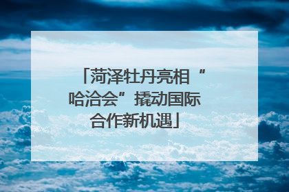 菏泽牡丹亮相“哈洽会”撬动国际合作新机遇