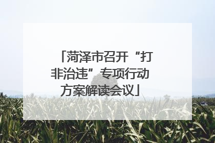 菏泽市召开“打非治违”专项行动方案解读会议
