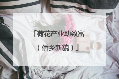 荷花产业助致富（侨乡新貌）