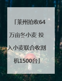 莱州抢收64万亩冬小麦 投入小麦联合收割机1500台