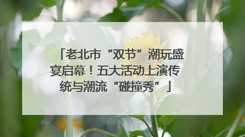 老北市“双节”潮玩盛宴启幕！五大活动上演传统与潮流“碰撞秀”
