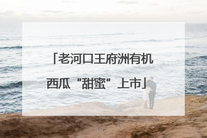 老河口王府洲有机西瓜“甜蜜”上市
