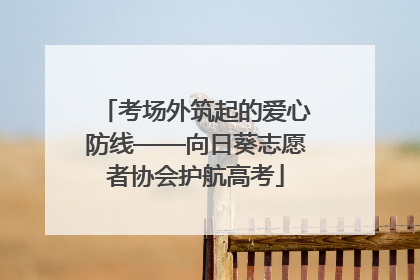 考场外筑起的爱心防线——向日葵志愿者协会护航高考