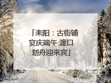 耒阳：古街铺宴庆端午 渡口划舟迎来宾