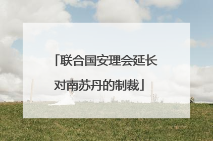联合国安理会延长对南苏丹的制裁