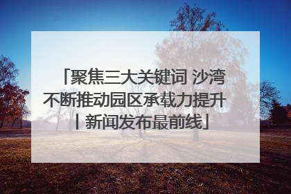 聚焦三大关键词 沙湾不断推动园区承载力提升丨新闻发布最前线