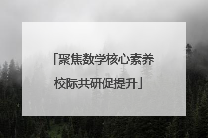 聚焦数学核心素养 校际共研促提升