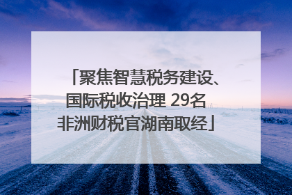 聚焦智慧税务建设、国际税收治理 29名非洲财税官湖南取经
