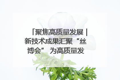 聚焦高质量发展｜新技术成果汇聚“丝博会” 为高质量发展注入新动能