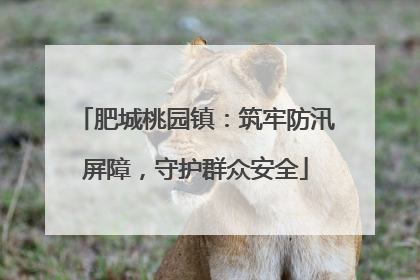 肥城桃园镇：筑牢防汛屏障，守护群众安全