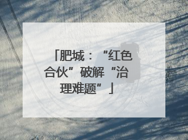 肥城：“红色合伙”破解“治理难题”
