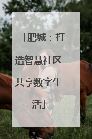 肥城：打造智慧社区共享数字生活