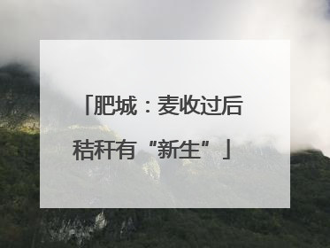 肥城：麦收过后秸秆有“新生”