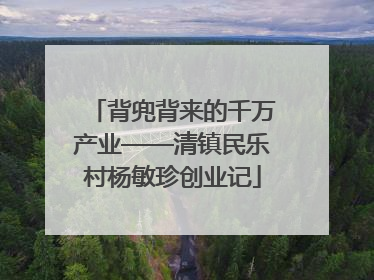 背兜背来的千万产业——清镇民乐村杨敏珍创业记
