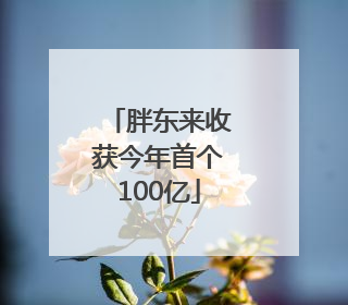 胖东来收获今年首个100亿