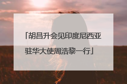 胡昌升会见印度尼西亚驻华大使周浩黎一行