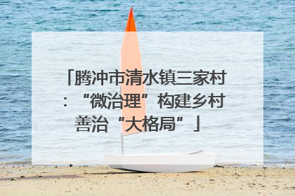 腾冲市清水镇三家村：“微治理”构建乡村善治“大格局”