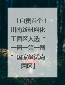 自贡首个！川南新材料化工园区入选“一园一策一图”国家级试点园区