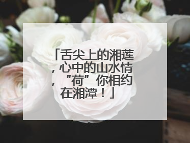 舌尖上的湘莲，心中的山水情，“荷”你相约在湘潭！