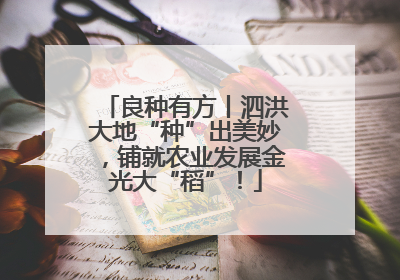 良种有方丨泗洪大地“种”出美妙，铺就农业发展金光大“稻”！