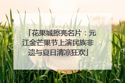 花果城擦亮名片：元江金芒果节上演民族非遗与夏日清凉狂欢