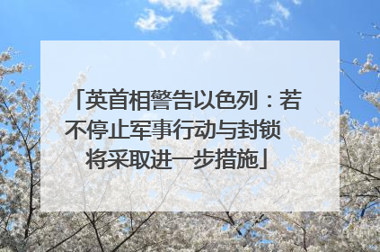 英首相警告以色列：若不停止军事行动与封锁 将采取进一步措施