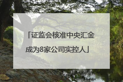 证监会核准中央汇金成为8家公司实控人