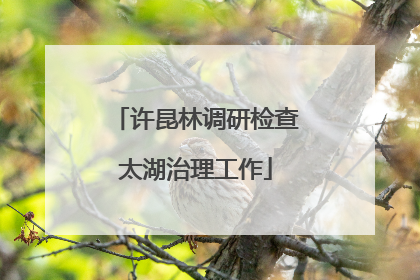 许昆林调研检查太湖治理工作
