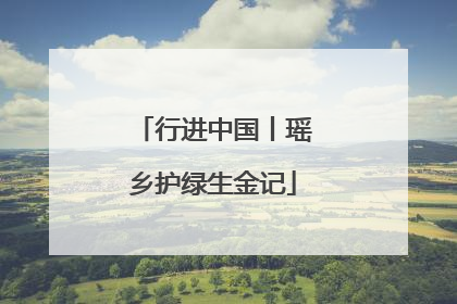 行进中国丨瑶乡护绿生金记