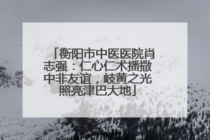 衡阳市中医医院肖志强：仁心仁术播撒中非友谊，岐黄之光照亮津巴大地