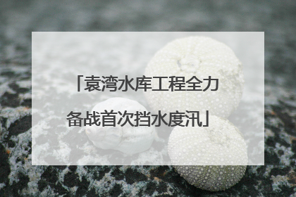 袁湾水库工程全力备战首次挡水度汛