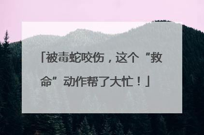 被毒蛇咬伤，这个“救命”动作帮了大忙！