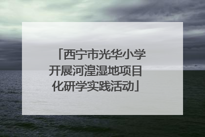 西宁市光华小学开展河湟湿地项目化研学实践活动