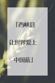 西峡县 让世界爱上中国菇