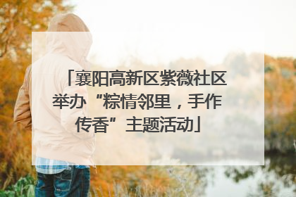 襄阳高新区紫薇社区举办“粽情邻里，手作传香”主题活动
